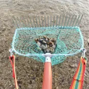 下殺低價挖蛤蜊花蛤黃蜆田螺帶網兜鍍鋅焊接網耙沙灘趕海專用工具家用