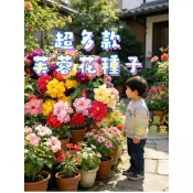 現貨隔日寄 芙蓉花種子 富貴芙蓉籽 木芙蓉種子 重瓣芙蓉 多年生花卉 庭院花種 陽台盆栽 吉祥花卉 觀賞室內綠植