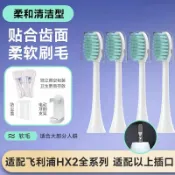 無限極台灣館 TEETIPS適配飛利浦電動牙刷頭HX2421/2431/243w/243L小羽刷替換頭