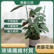 (店+)爬籐花架 盆栽支撐架 藤蔓支架 爬藤架 花盆架 植物架 攀爬架 爬藤杆 環狀爬藤架 球型花架 園藝花架 支柱