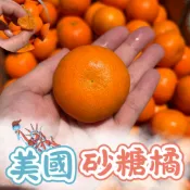 #快速出貨#3斤免運#進口砂糖橘｜想吃多少下多少，無籽超甜顏值高
