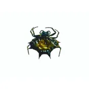 【蜘蛛標本-死的乾貨非活體】棘蛛Gasteracantha