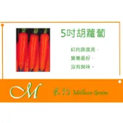 《Meilleur》新黑田5吋胡蘿蔔種子 3g
