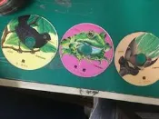 3片合售只有CD 理科出版 第一個發現 like First Discovery 鳥樹青蛙 CD片況佳Z183