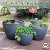 錦盛實木家居 可開發票 工廠現貨 【北歐睡蓮盆 免運】庭院花盆 水養盆 種植盆 落地大花盆 種植盆 大口盆缸 粗陶盆 花盆 荷花盆 落地花盆特惠/全館折扣 售後保障 j547