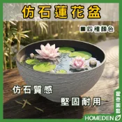 【９９無包裝免運】仿石蓮花盆 高質感 堅固耐用 水生 水耕盆 植栽盆 花盆 園藝用品【HOMEDEN霍登園藝】