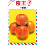種子王國 京王子 番茄 大果【蔬果種子】一代交配 栽培容易 比美桃太郎 發育強壯 果肉緻密 興農種苗 每包約35粒