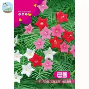 【原廠包裝】蔦蘿種子(Cobaea)1克裝 五星花/新娘花/羽葉蔦蘿 爬藤植物易爆花 四季播種 開花不斷 新手必備