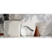 『壹手』DIPTYQUE 室內香氛蠟 聖日爾曼大道34號 玫瑰 無花果 漿果