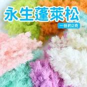 [🌼現貨隔日🌲] 永生蓬萊松 永生花 蓬萊松 壽松 浮游花材 手作花材 2g 小份量 花盅