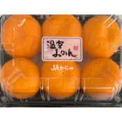 📦【日本空運】佐賀唐津溫室蜜柑🍊濃甜爆汁・皮薄化渣｜頂級日系柑橘・限量販售・送禮首選