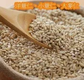 新鮮小薏仁 珍珠薏仁 洋薏仁 大麥仁600公克 | 另有毛綠豆 粉綠豆 赤小豆 薏苡仁 黑豆 蓮子 糙薏仁(紅薏仁)