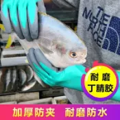 協貿國際日用品生活10館 殺魚專用手套防刺防水防滑防切割薄款貼手水產開生蠔抓抓螃蟹趕海