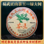 易武正山茶王綠大樹！張毅老先生手做！2001年明前春尖貢茶區野生古樹原料！限量一件！357g