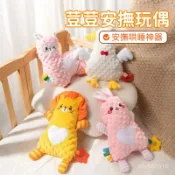 免運👶🏻安撫娃娃 寶寶安撫巾 安撫玩偶 牙膠玩具 安撫荳荳兔 安撫兔子 寶寶安撫玩具 鬨睡 安撫娃娃