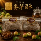 【現貨】斗六四代目古早味蜜餞四寶｜梅片・無籽梅肉・小紅莓｜開胃零食｜果乾蜜餞｜伴手禮