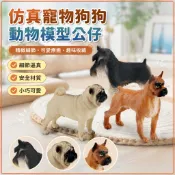 🌈仿真動物模型 寵物狗狗兒童認知沙皮狗雪納瑞拳師犬桌面裝飾 公仔 迷你 手辦 玩具