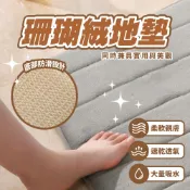 現貨 珊瑚絨地墊 地毯 踏墊 地毯 吸水地墊 廚房地墊 腳踏墊 防滑地墊 吸水地墊 寵物地墊