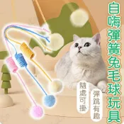 毛孩補給站 彈簧逗貓玩具 彈簧逗貓球 逗貓棒 逗貓球 吸盤彈簧兔毛球 彈簧玩具 自嗨玩具 貓玩具 寵物玩具【1205002】