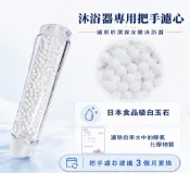 【松果購物】潔霖安健沐浴器專用-除氯把手濾芯3入-適用9個月