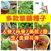 【草藥園套組】12合1中藥種子｜人參/丹參/黃芪/靈芝/金銀花等｜家庭盆栽 可食用觀賞｜養生植栽 附教學手冊
