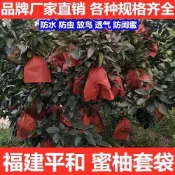 批發特惠100入·柚子專用套袋早熟三紅果袋紅柚紙袋沙田柚蜜柚葡萄柚水果防鳥防蟲