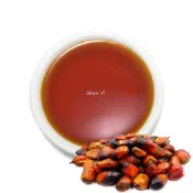 【順億化工】馬來西亞 紅棕櫚油 1L 5L 棕櫚油【CCC 01】