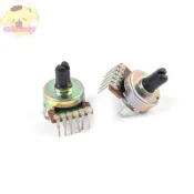 Pinkflower 2Pcs 161 型半圓軸 50K B503 電位器 6pin 功率放大器調音電位器開關 EN