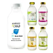 (店+)❰樺樹汁❱100%純樺樹液❰公司貨+送密封棒+秒出❱立陶宛 Absolutely Wild 白樺樹汁 Birch sap