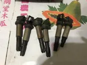 大坡很遠 BMW X3 E83 3.0 2.5 04-06點火考耳X6 IGNITION COIL 0221504100