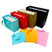 (店+)塔克 精品袋 白卡紙袋 禮品袋 / 6色 橫款12號 / 環保袋 手提袋 購物袋 紙袋 包裝袋 送禮袋