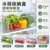 🔥免運下殺🔥冰箱收納盒傢用加厚透明食品級保鮮盒飲料多款式可疊加蔬菜冷凍盒
