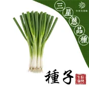 三星蔥種子🔥約65粒🔥三星蔥品種 香蔥種子 蔬菜種子 香料種子 好家在園藝
