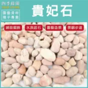 貴妃石 1kg 石頭 盆栽鋪面 園藝造景 水族底石 園藝石頭 石材 【四季綠園】