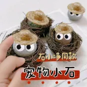 隔日達🔥 寵物石頭小黃人同款養石頭可愛夥伴寵物小石頭異寵省心小寵石頭鳥玩具 鳥玩具 鳥籠配件 鸚鵡玩具 鸚鵡用品