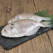 【三頓飯】嚴選野生紅目鰱(共48尾_6尾/500g/包)