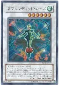 “HAPPY夏普“   遊戲王 608 TSHD-JP043 華麗薔薇 (亮面)