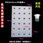 水培蔬菜漂浮板溫室大棚池塘魚池種植浮板無土栽培稻田水耕定植板