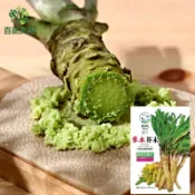 【原裝】日本山葵種子 綠芥末種籽 盆栽陽台種植 新鮮山葵根 日式料理調味 家庭園藝種子 易種活 高發芽率