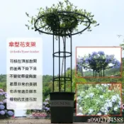 千織屋 園藝傘形花架 爬藤架 月季鐵線蓮攀藤蘑菇薔薇花架 綠植支架桿戶外