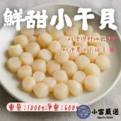 小富嚴選 【1200免運】鮮甜小干貝 海灣小干貝 小顆干貝 提鮮食材 (淨重1000g/實重600g) 露營食材 燒烤 干貝蒸蛋 熱炒