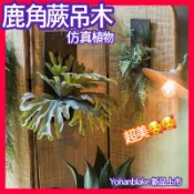 頂級仿真鹿角蕨😇木頭鹿角蕨😇人造仿真鹿角蕨 藤蔓壁掛 綠色假植物 蕨類 植物牆 裝飾藤條 假植物 假藤蔓 仿真度極高