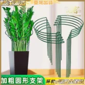 【一諾五金】花架 半圓花支架 護花架支撐架 金錢樹支撐架 蟹爪蓮支架 室內花架