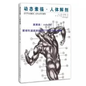 現貨動態素描 人體解剖 理解人體形態 人體骨骼肌肉解剖實用人體素描速寫 藝用人體結構臨摹人物技法基礎教程 鉛筆漫畫素描基