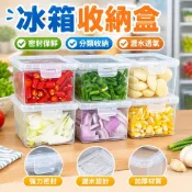 廚房收納 冰箱收納盒 保鮮盒 密封盒 水果保鮮盒 瀝水保鮮盒 密封保鮮盒 冷凍保鮮盒 五穀雜糧 姜蒜 配菜 側門收納 食