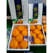 🇯🇵日本超甜蜜柑禮盒 #佐賀唐津 #最高傑作物