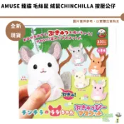 AMUSE 龍貓 毛絲鼠 絨鼠Chinchilla 按壓公仔 全五種 全新現貨【皮克星】