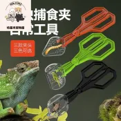 【台灣出貨】熱賣爬寵守宮蜥蜴角蛙蜘蛛麵包蟲杜比亞蟋蟀活體餵食崑蟲捕捉夾子鑷子