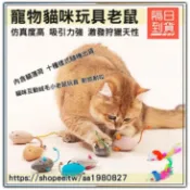 寵物玩具老鼠 貓玩具 貓薄荷毛絨老鼠 內含貓薄荷 小老鼠貓玩具 仿真小老鼠 寵物玩具 絨毛老鼠 貓咪互動 共十種