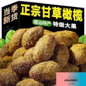 九制甘草橄欖幹潮汕特產鹹甜黃金橄欖果脯小零食休閒蜜餞酸甜⭐ GBD 優選雜貨鋪⭐